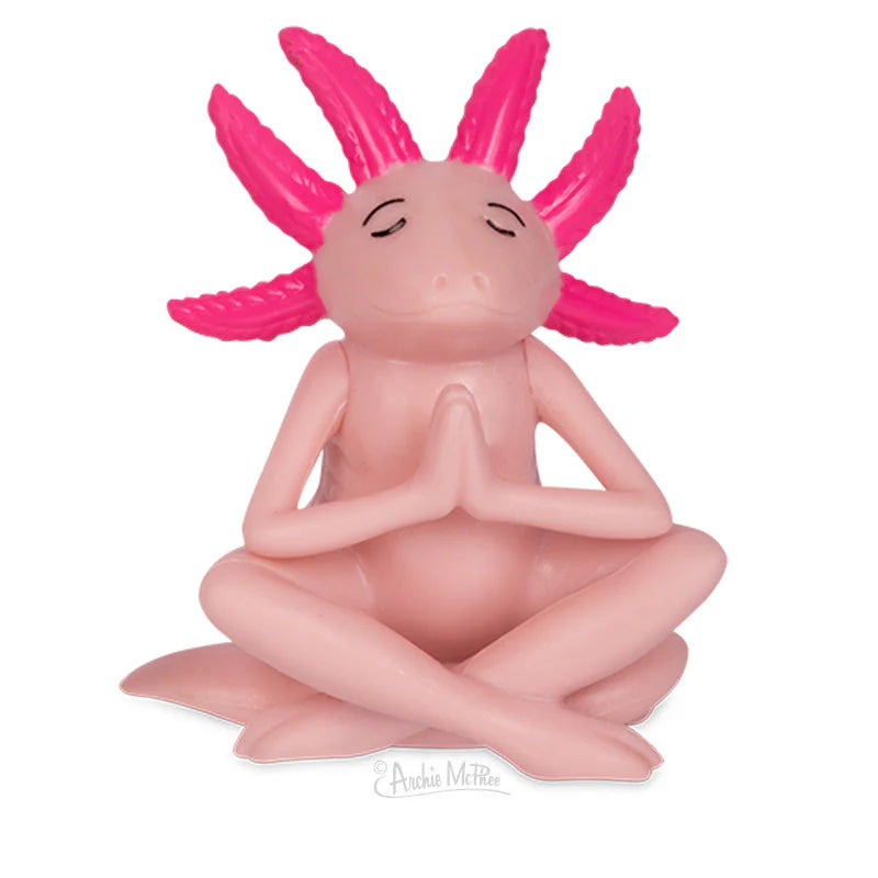 Meditating Axolotls Bulk Box