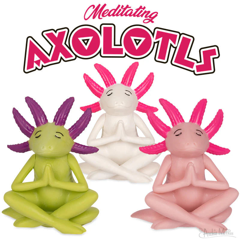 Meditating Axolotls Bulk Box