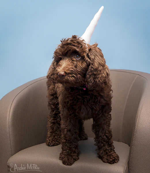 Inflatable Unicorn Horn for Cats