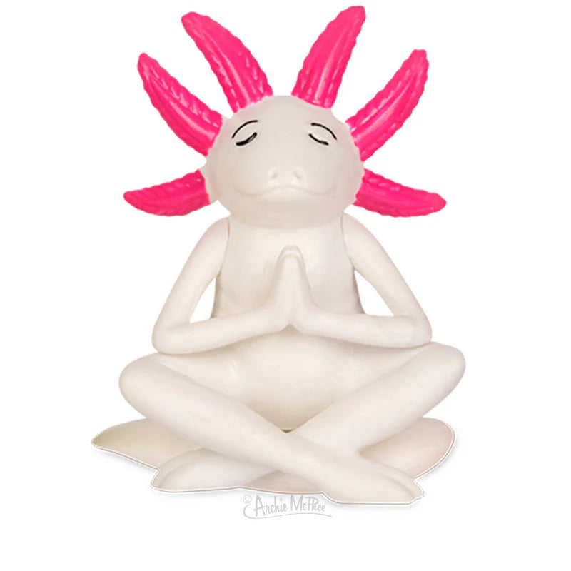 Meditating Axolotls Bulk Box