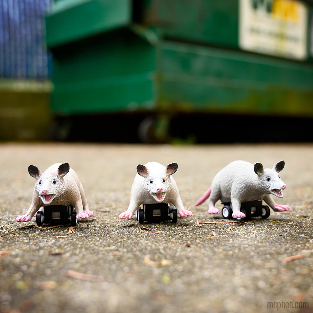 Racing Possums Bulk Box