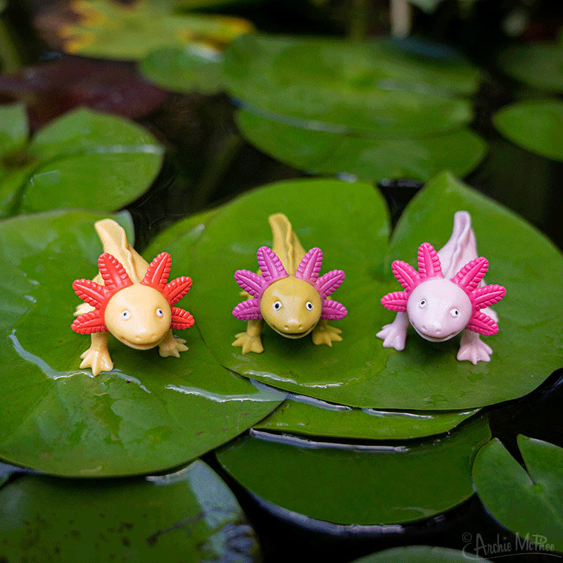 Happy Axolotls - Set of 4