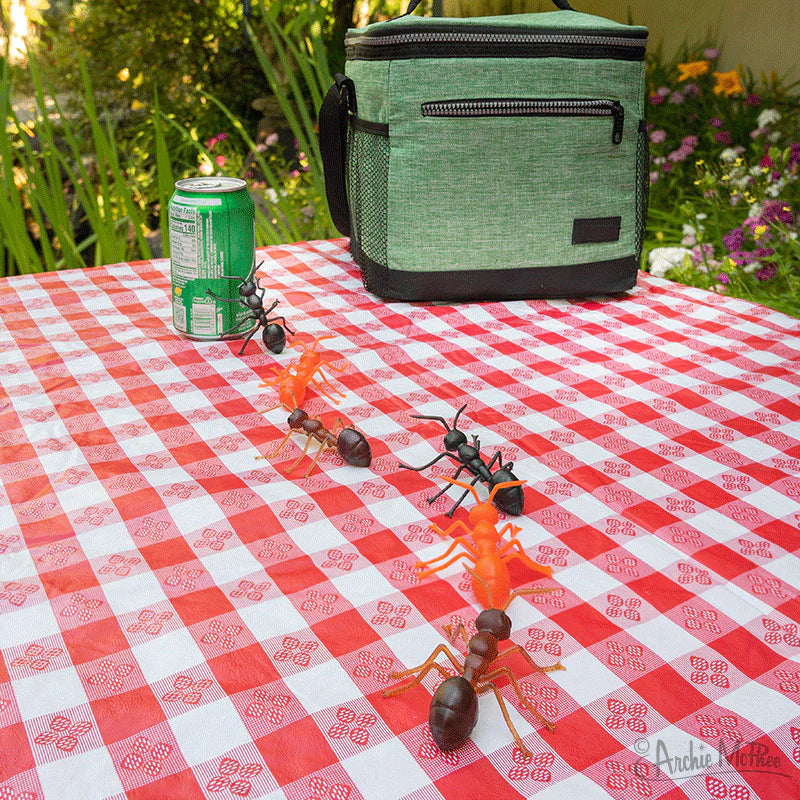Ants!