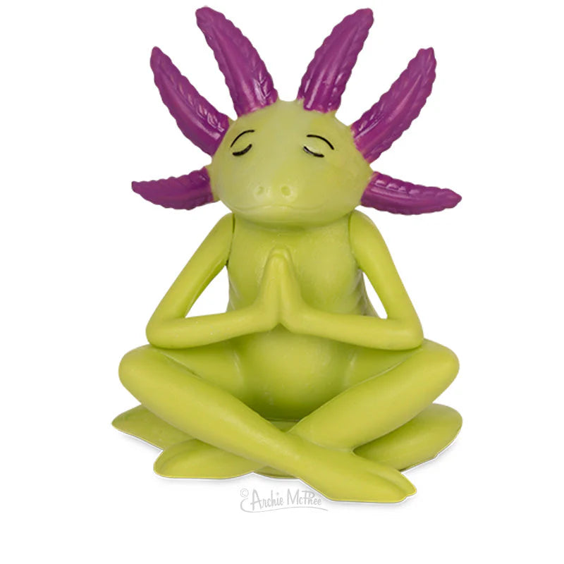 Meditating Axolotls Bulk Box