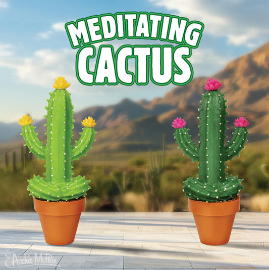 Meditating Cactus Bulk Box