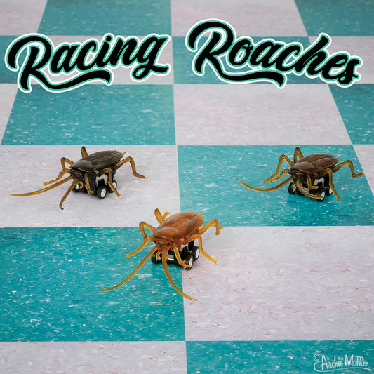 Racing Roaches - Bulk Box