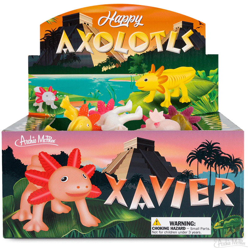 Happy Axolotls Bulk Box
