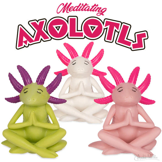 Meditating Axolotls Bulk Box