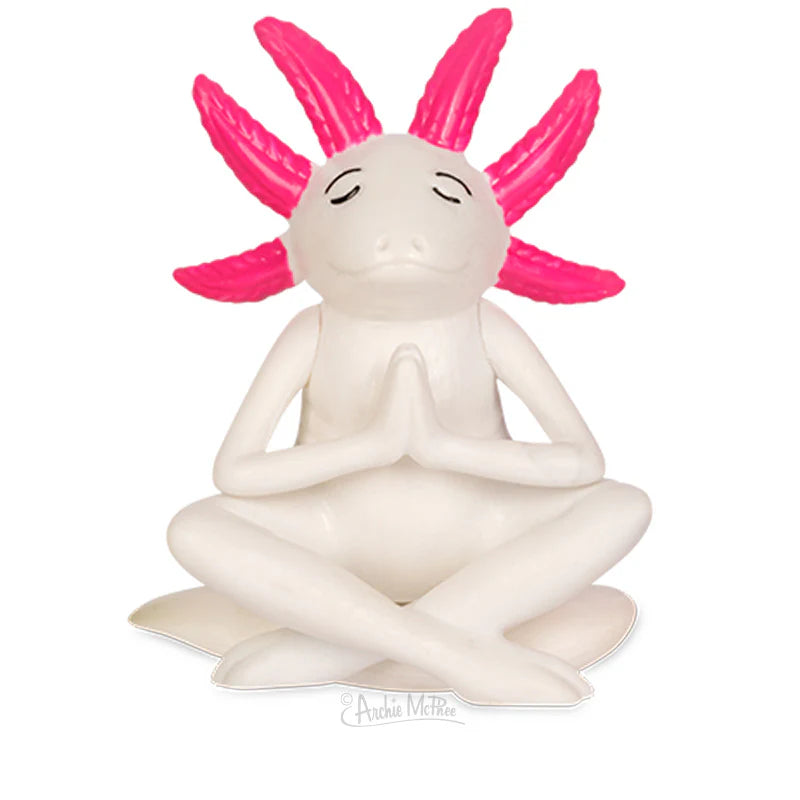 Meditating Axolotls