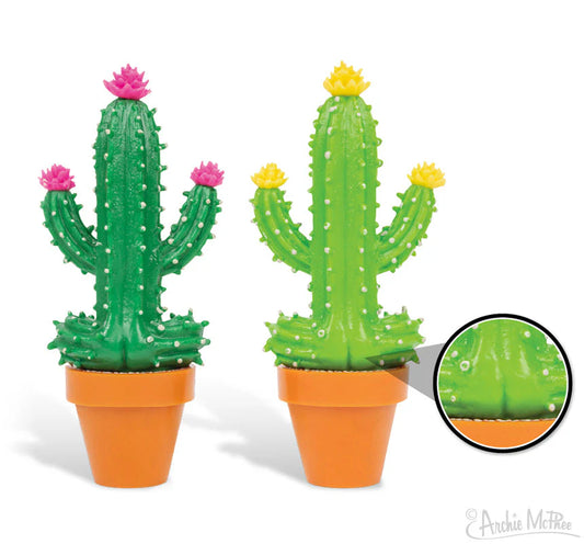 Meditating Cactus