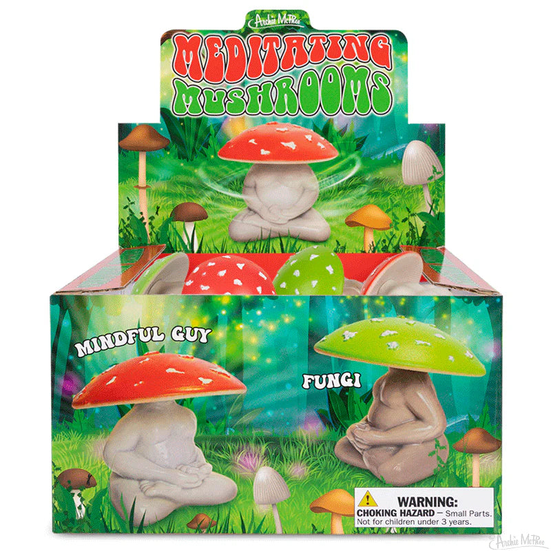 Meditating Mushrooms - Bulk Box