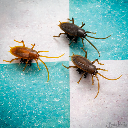 Racing Roaches - Set of 3