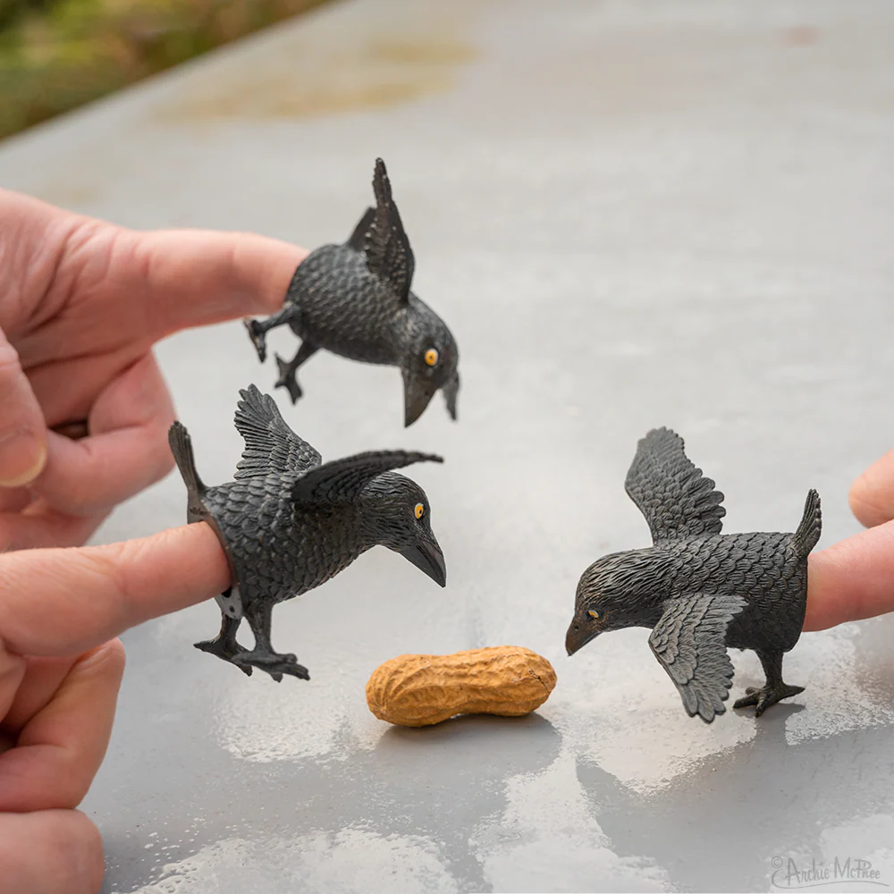 Finger Crows - Bulk Box