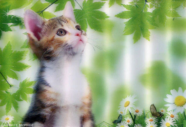 Cute and Cuddly Lenticular Card Set