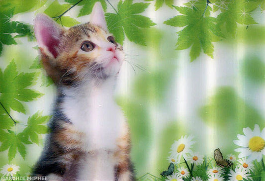 Cute and Cuddly Lenticular Card Set