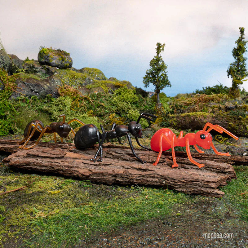 Ants!