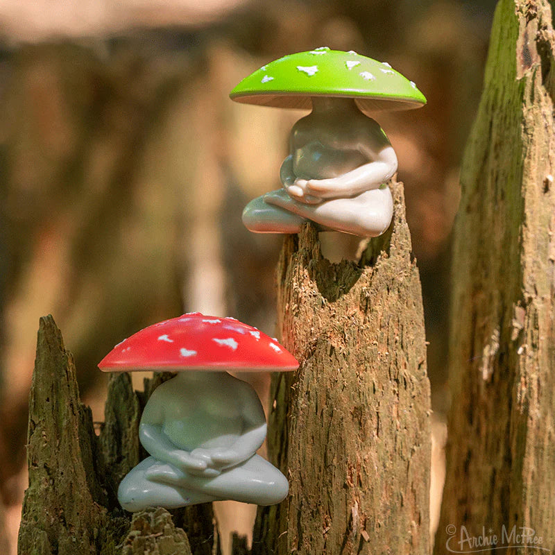 Meditating Mushrooms - Bulk Box