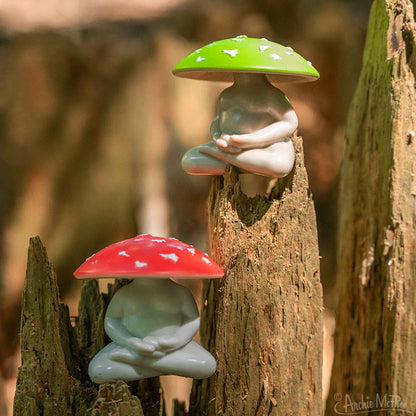 Meditating Mushrooms - Bulk Box