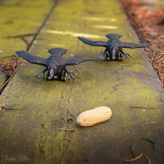 Racing Crows - Set of 3