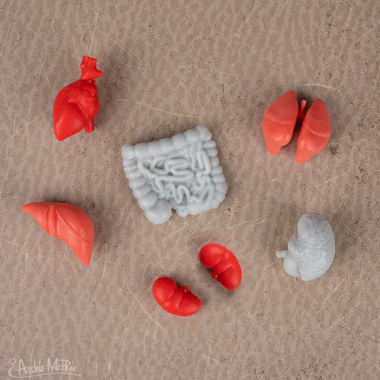 Itty Bitty Body Parts - Bag of 14