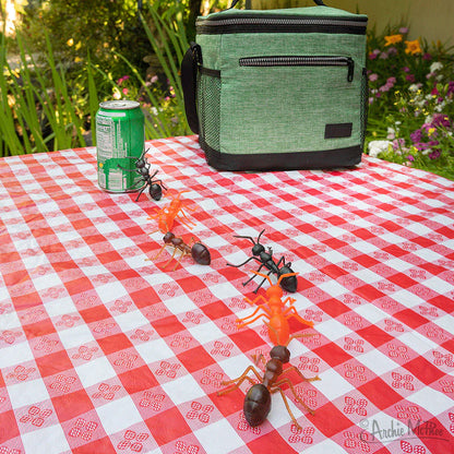 Ants!