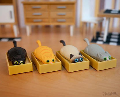 Racing Cats in Boxes Bulk Box