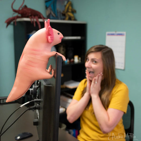 Office Axolotl