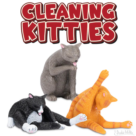 Cleaning Kitties Bulk Box